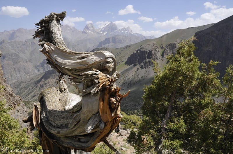 Горный пейзаж Чимгана, природные чудеса Узбекистана